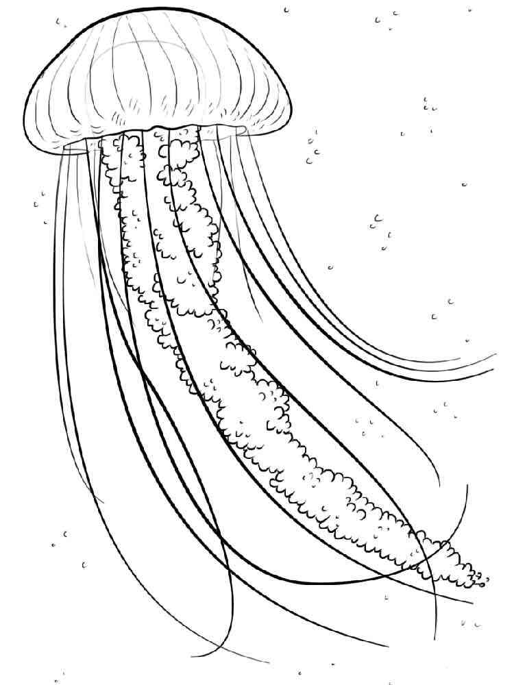 Jellyfish coloring pages. Download and print Jellyfish coloring pages.